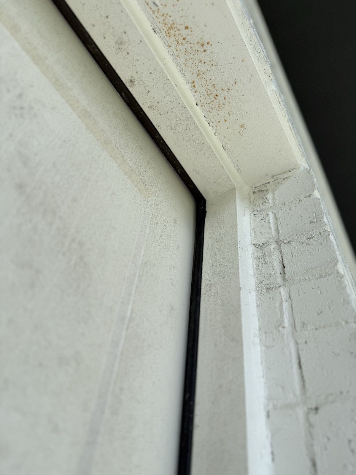 Gap at the top of the garage access door, seen from the backyard