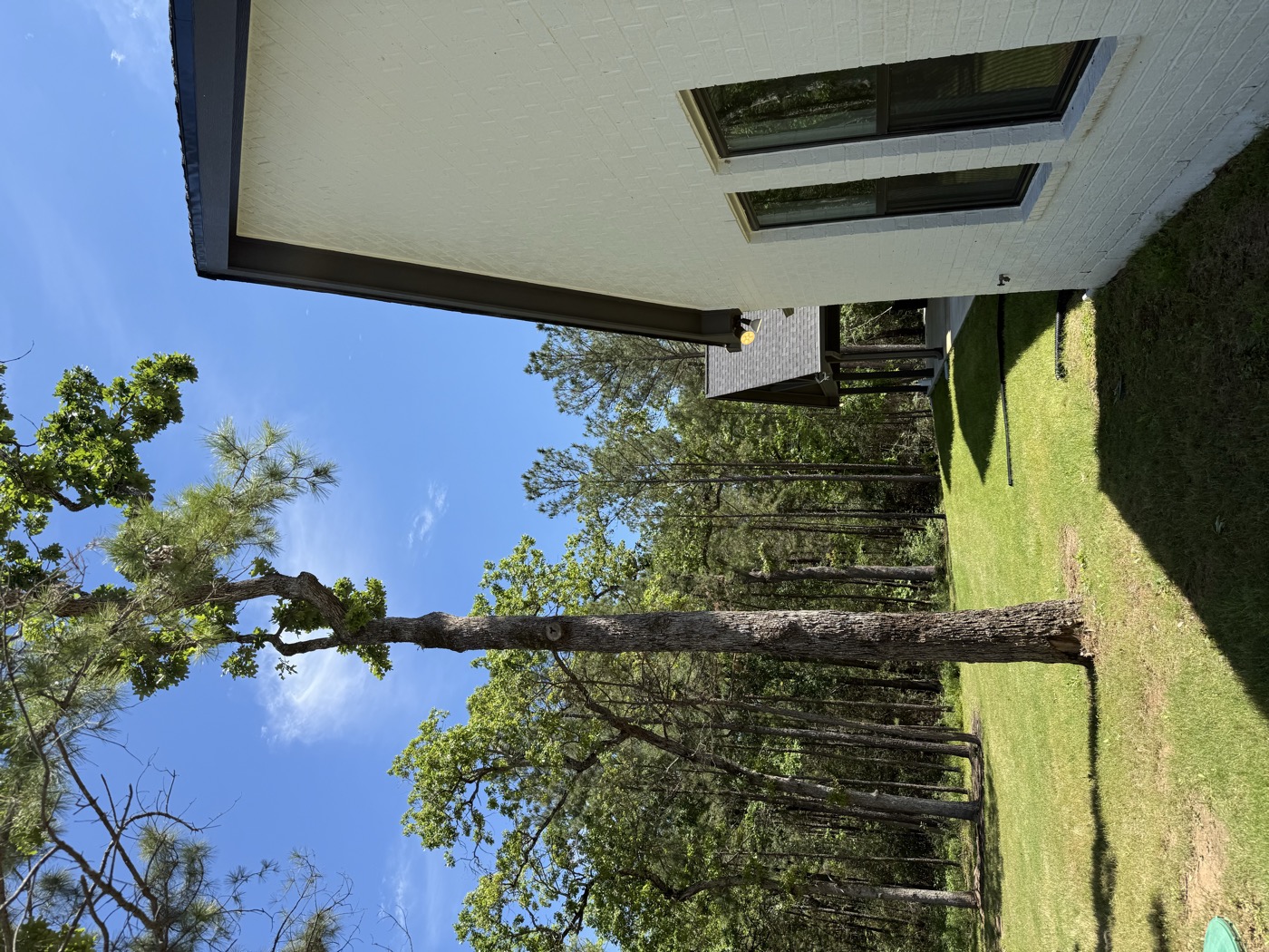 Trees left too close to the foundation